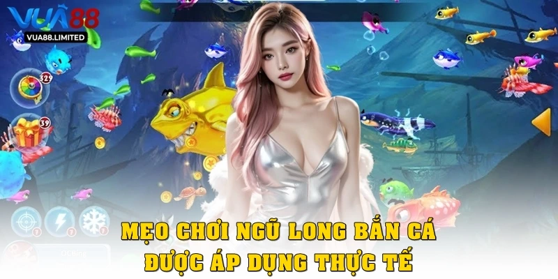 Mẹo chơi ngũ long bắn cá được áp dụng thực tế