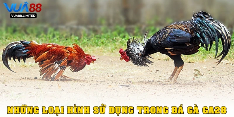 Những loại hình sử dụng trong đá gà ga28